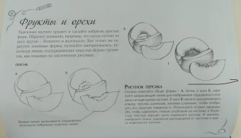 Натюрморт. Альбом для скетчинга