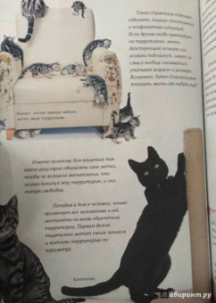 Ольга Соколова: Домашние питомцы и кто за них в ответе…