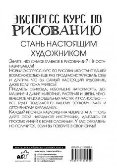 Мистер Грей: Экспресс курс по рисованию. Стань настоящим художником