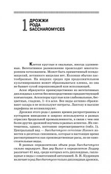 Геннадий Качмазов: Дрожжи бродильных производств. Практическое руководство. Учебное пособие