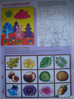 Игралка-развивалка. Для детей 4-7 лет (33989)