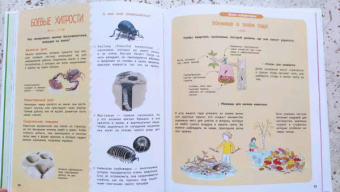 Натали Торджман: Насекомые и другие маленькие животные