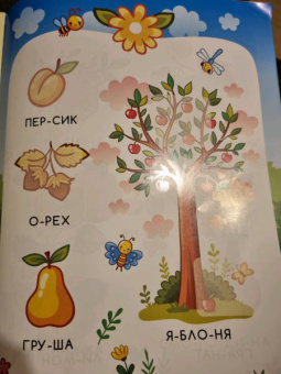 Сад и огород. Книжка с наклейками