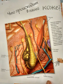 Боэрле, Ланда: Путешествие в мир клетки. Нескучная наука