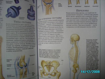 Большая иллюстр. энциклопедия знаний