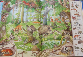 Большая книга времен года