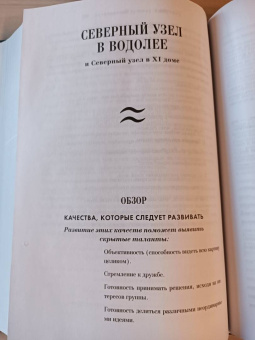 Ян Спиллер: Астрология души