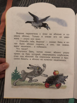 Владимир Сутеев: Яблоко