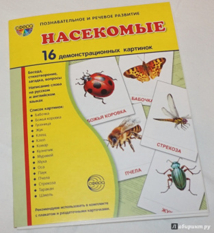 Цветкова, Шорыгина: Демонстрационные картинки "Насекомые" (16 картинок)