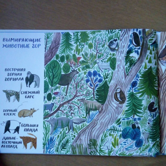 Изабелла Баннелл: На грани исчезновения