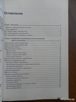 Александр Панов: Реверсинг и защита программ от взлома (+CD)