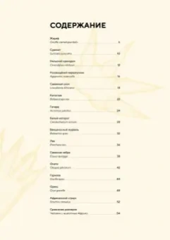 Хольгер Хааг: Животные Африки в натуральную величину