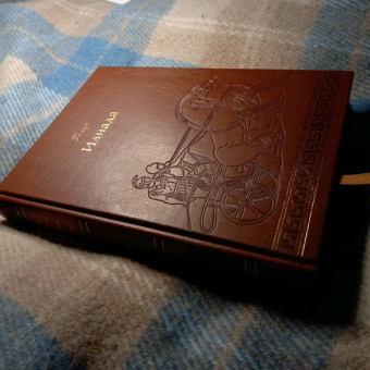 Гомер: Илиада