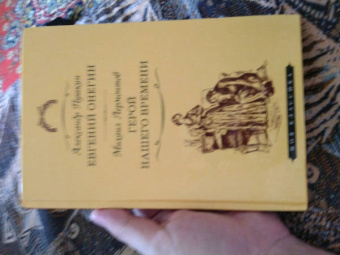 Пушкин, Лермонтов: Евгений Онегин. Герой нашего времени