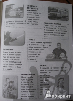 Елена Шейнина: Профессии
