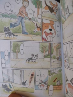 Конами Каната: Милый дом Чи. Книга 5