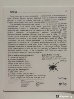 Цветкова, Шорыгина: Демонстрационные картинки "Насекомые" (16 картинок)