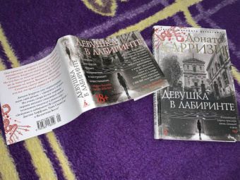 Донато Карризи: Девушка в лабиринте