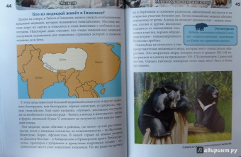 Ярослава Соколова: Хочу знать. Медведи