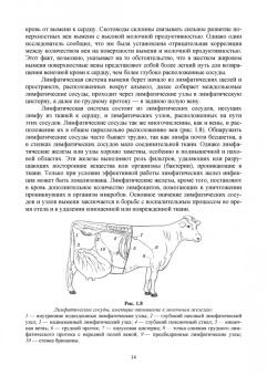Федотов, Авдеенко, Белозерцева: Ветеринарная маммология. Учебник
