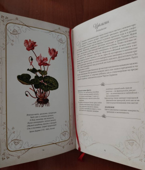 Дэвис, Сондерс: Тайный язык цветов