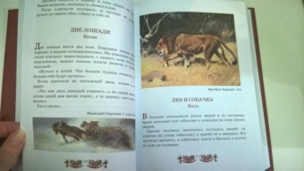Лев Толстой: Русская книга для чтения