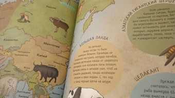 Паола Гримальди: Гигантский атлас животных мира