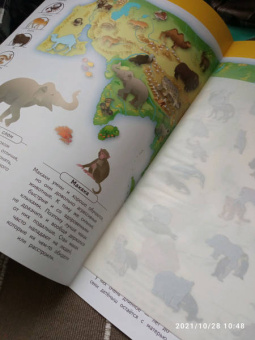 Вениамин Шехтман: Животные нашей планеты