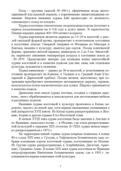 Константин Лактионов: Частное плодоводство. Субтропические культуры. Учебное пособие для СПО