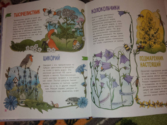 Эмма Янссон: Цветы и растения