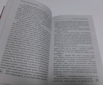Александра Лисина: Трое из академии. Трое на каникулах