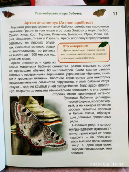 Людмила Соколова: Энциклопедия. Бабочки