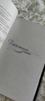 Донна Ванлир: Рождественские тайны