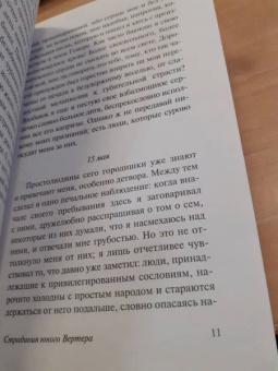 Иоганн Гете: Страдания юного Вертера