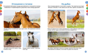 Гийоре, Рейнинг: Лошади