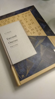 Пушкин, Рожников: Евгений Онегин. Подробный иллюстрированный комментарий