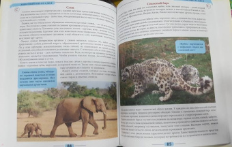 Людмила Соколова: Животный мир от А до Я