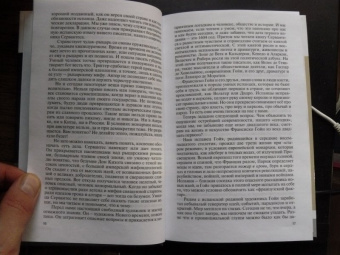Александр Якимович: Гойя