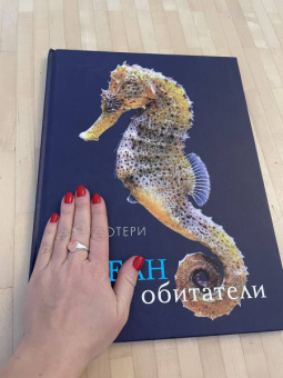 Бен Ротери: Океан и его обитатели