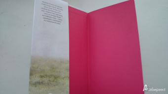 Владимир Набоков: Лолита