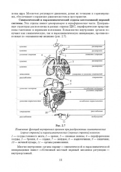 Позняковский, Дроздова, Влощинский: Физиология питания. Учебник
