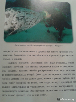 Дженнифер Холанд: Невероятная правда о дружбе:  47 историй в фотографиях об удивительной дружбе животных
