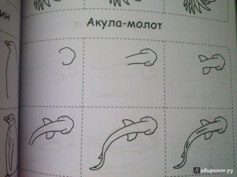 404 волшебных рисунка