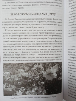 Николай Непомнящий: 100 великих загадок Крыма