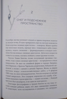 Бернд Хайнрих: Зима. Секреты выживания растений и животных в самое суровое время года