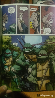 Том Валтс: Подростки Мутанты Ниндзя Черепашки выпуск 4