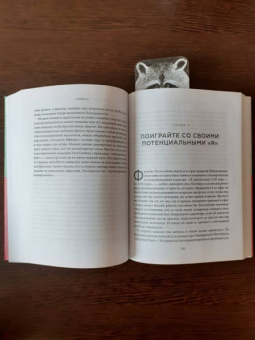 Дэвид Эпштейн: Универсалы. Как талантливые дилетанты становятся победителями по жизни