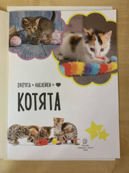 Зверята + наклейки. Котята