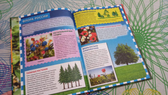 Растительный мир России. Популярная детская энциклопедия