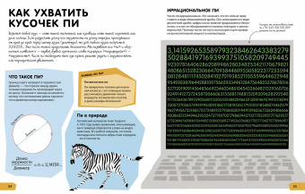 Дэвис, Мубин: Зачем нужна математика?